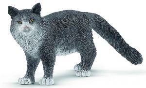 SHL13893 - gato maine coon