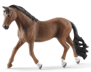 SHL13909 - castrado trakehner