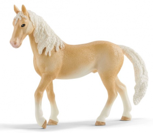 SHL13911 - semental akhal-teke