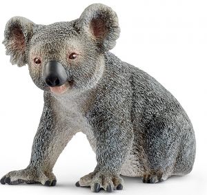 SHL14815 - Coala