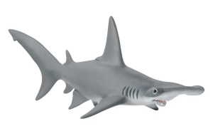 SHL14835 - Tiburón martillo