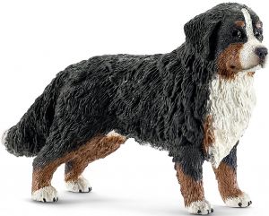 SHL16397 - Boyero de Berna hembra