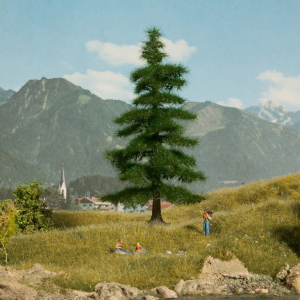 NOC21811 - Árbol Nordmann 14;5 cm