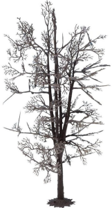 NOC22020 - Estructura de árbol - Tilo 18;5 cm
