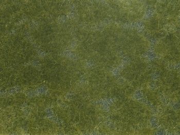 NOC07252 - Follaje vegetal; verde oscuro 12x18 cm