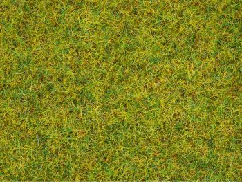 NOC08151 - Bote de 120 g de hierba de pradera de primavera flocado de 2;5 mm