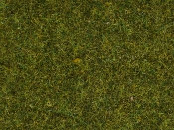 NOC08361 - Prehierbas - 4mm - 20 g