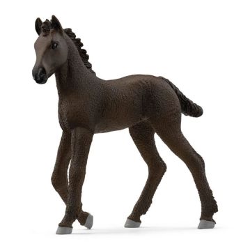 SHL13977 - Potro frisón
