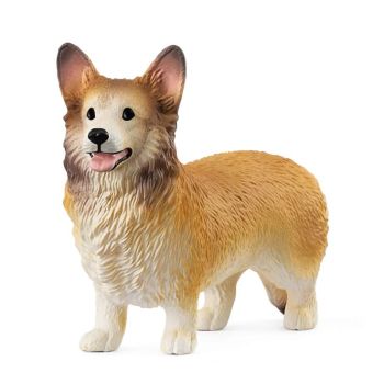 SHL13999 - Perro Welsh Corgi