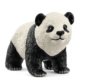 SHL14886 - Panda Gigante Joven