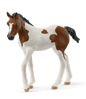 SHL14899 - Potro Paint Horse