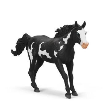 SHL14900 - Castón Paint Horse