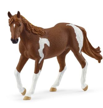 SHL14901 - Yegua Paint Horse