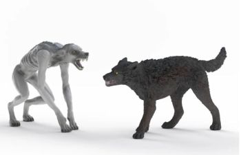 SHL14906 - Hombre Lobo vs. Animago