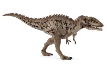 SHL15048 - Carcharodontosaurio
