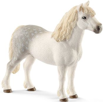 SHL13871 - Poni galés macho