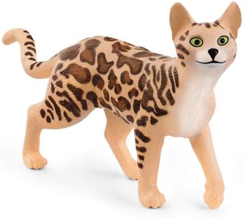 SHL13918 - gato de bengala
