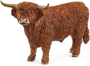 SHL13919 - toro de las tierras altas