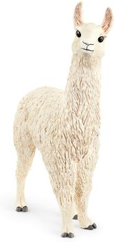 SHL13920 - llama