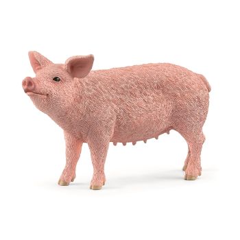 SHL13933 - Cerdo