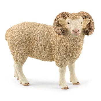 SHL13937 - Aries
