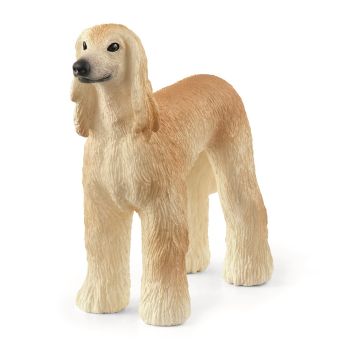SHL13938 - Galgo