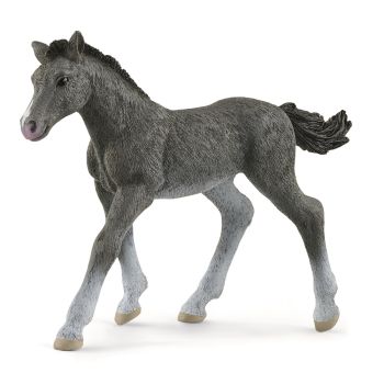 SHL13944 - Potro Trakehnen