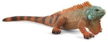SHL14854 - Tapir joven