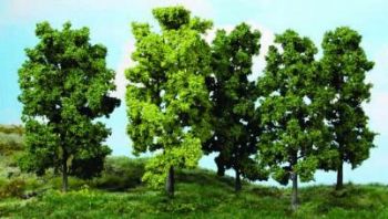 HEK1990 - 5 Árboles de hoja caduca 18 cm
