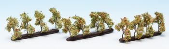 NOC21537 - 24 Plantar árboles con manzanas