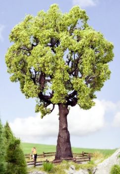 NOC21761 - Roble 19cm
