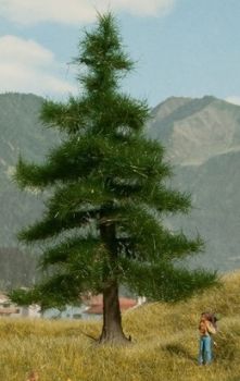 NOC21810 - Árbol Nordmann 12 cm