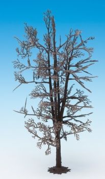 NOC22020 - Estructura de árbol - Tilo 18;5 cm