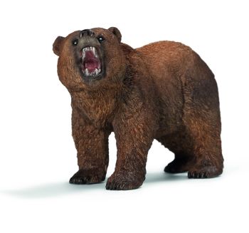 SHL14685 - Oso grizzly