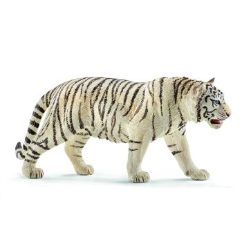 SHL14731 - tigre blanco macho