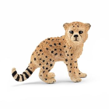 SHL14747 - guepardo bebe