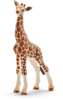 SHL14751 - bebe jirafa