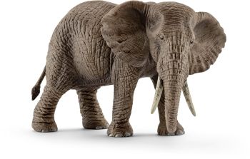SHL14761 - elefante africano hembra