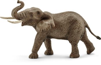 SHL14762 - elefante africano macho