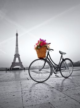 CLE35014 - Rompecabezas de 500 piezas Paseo romántico en París
