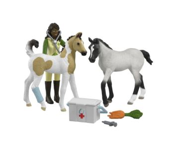 SHL42777 - Cuidado de animales bebés de Sarah