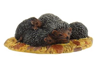 BUL64452 - familia de erizos