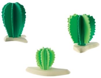 BUL81087 - Grupo de Cactus
