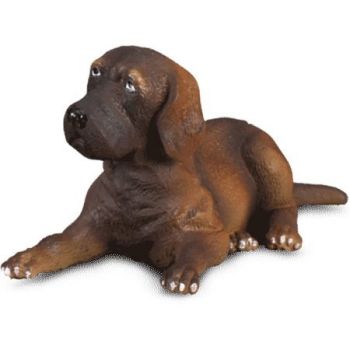 COLL88065 - Cachorro de gran danés acostado