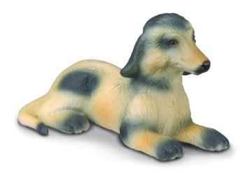 COLL88174 - Cachorro de galgo afgano