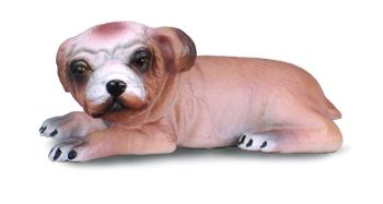 COLL88180 - Cachorro de bulldog inglés acostado