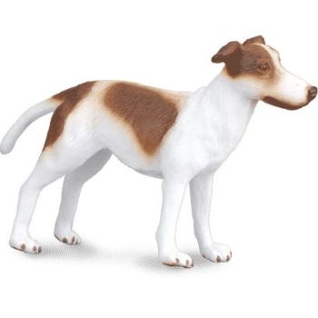 COLL88188 - Cachorro de galgo
