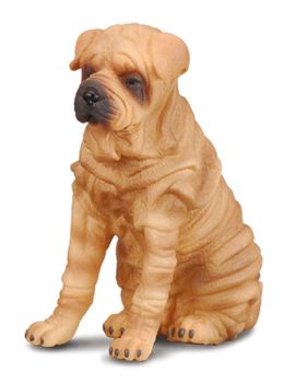 COLL88193 - perro sharpei