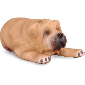 COLL88194 - Cachorro sharpei acostado