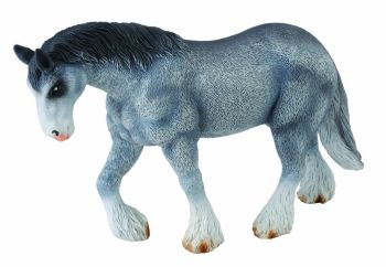 COLL88389 - Caballo Clydesdale